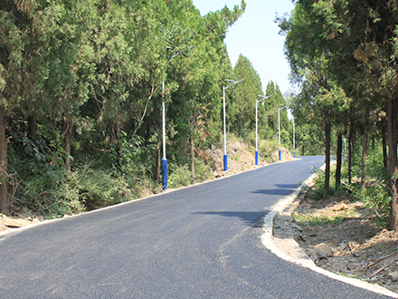 1655556118605457.jpg 01.jpg